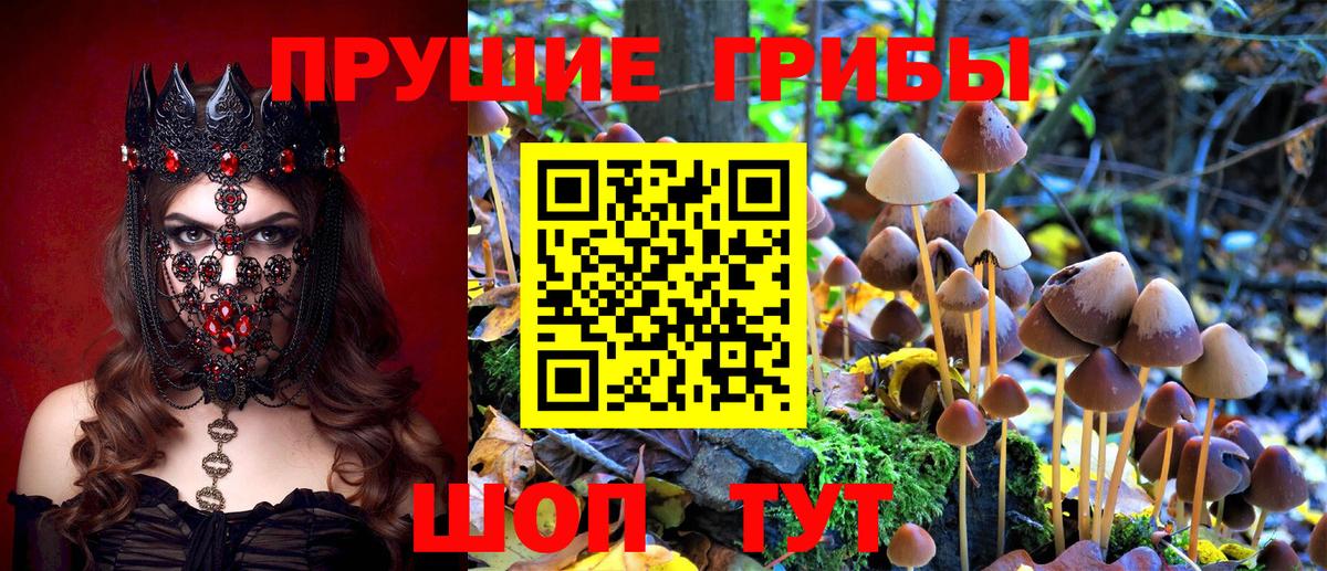 Галлюциногенные грибы Psilocybine cubensis  Вход с VPN  Галлюциногенные грибы ЛСД  Щёлково 